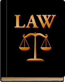 قانون رقم ۲۸ لسنة ۲۰۲۰ في شأن تنظيم بعض الأوضاع الخاصة بنواب المحافظين